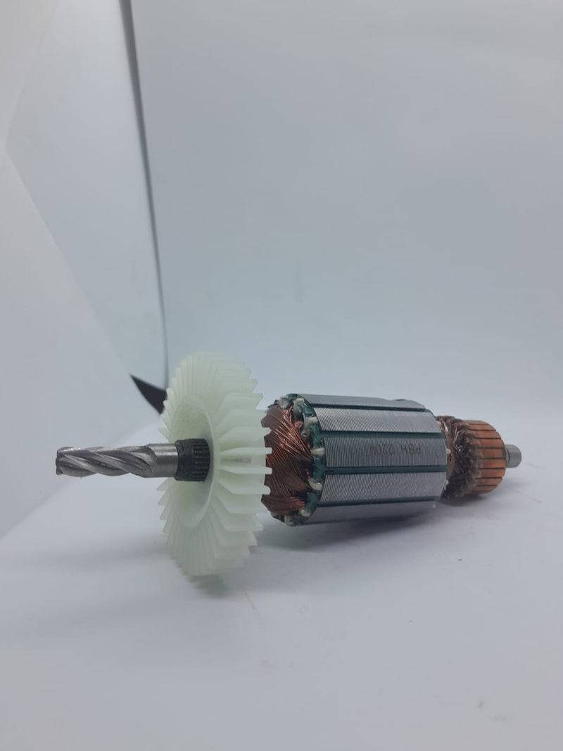 Induzido compatível Dwalt DW-561 Martelete 220v