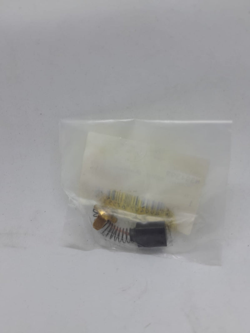 ESCOVA 220V DWP849X